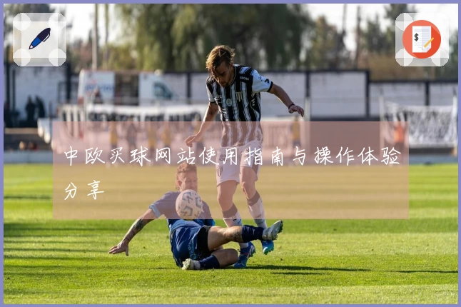 中欧买球网站使用指南与操作体验分享