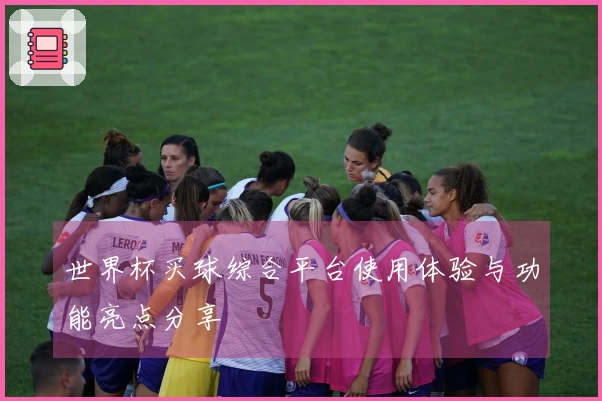 世界杯买球综合平台使用体验与功能亮点分享