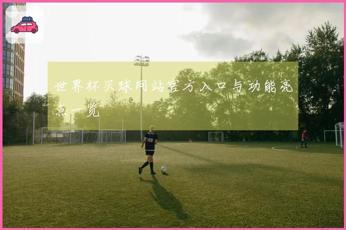 世界杯买球网站官方入口与功能亮点一览