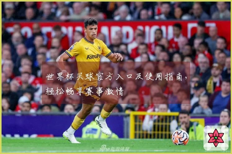 世界杯买球官方入口及使用指南,轻松畅享赛事激情