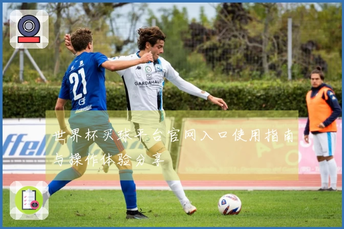 世界杯买球平台官网入口使用指南与操作体验分享