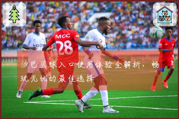 沙巴买球入口使用体验全解析，畅玩无忧的最佳选择