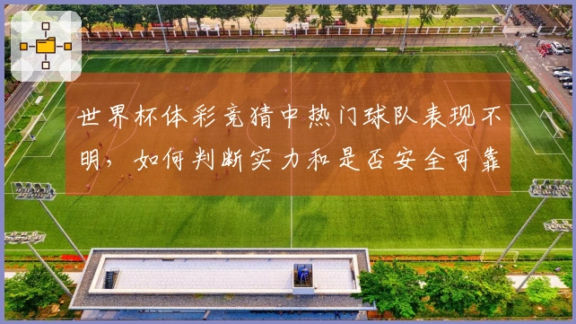 世界杯体彩竞猜中热门球队表现不明,如何判断实力和是否安全可靠?
