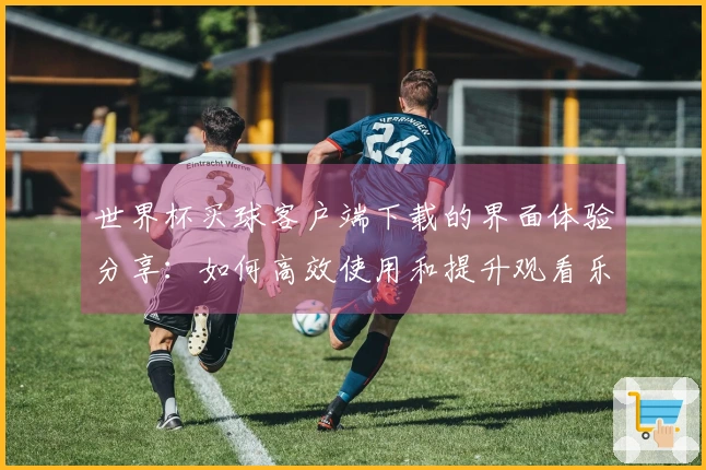 世界杯买球客户端下载的界面体验分享：如何高效使用和提升观看乐趣