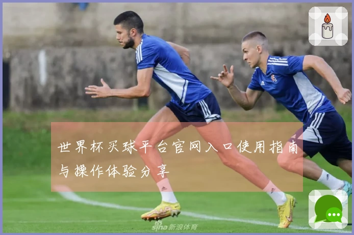 世界杯买球平台官网入口使用指南与操作体验分享