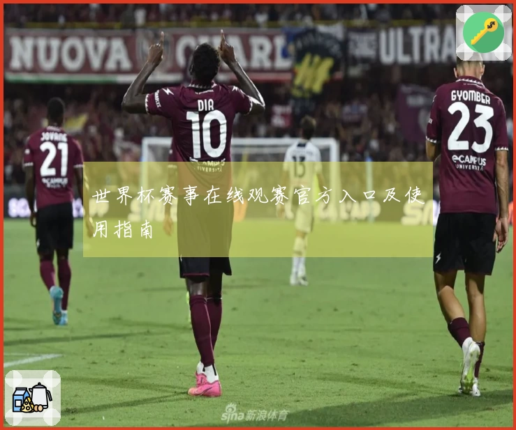 世界杯赛事在线观赛官方入口及使用指南