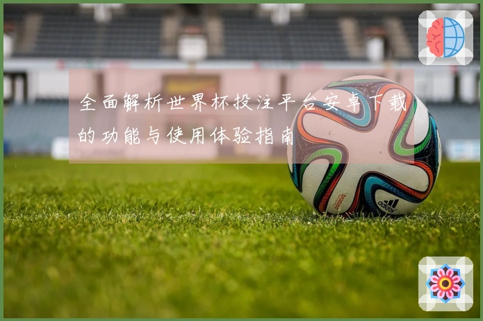 全面解析世界杯投注平台安卓下载的功能与使用体验指南
