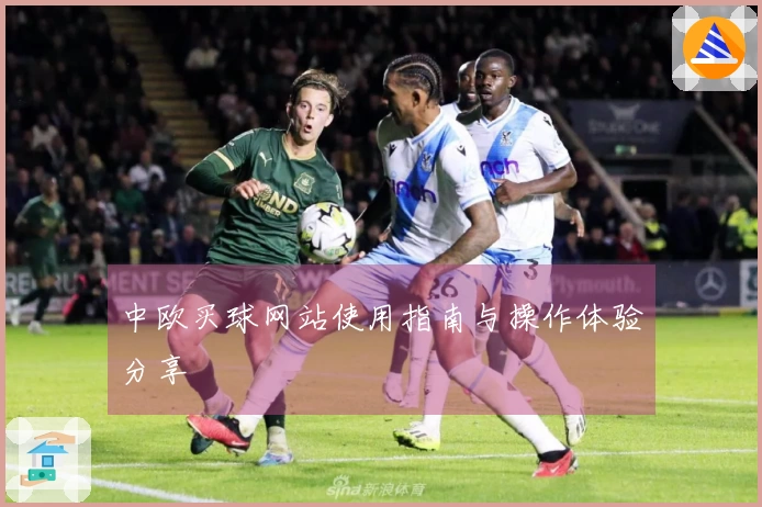 中欧买球网站使用指南与操作体验分享