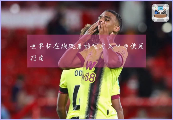 世界杯在线观看的官方入口与使用指南