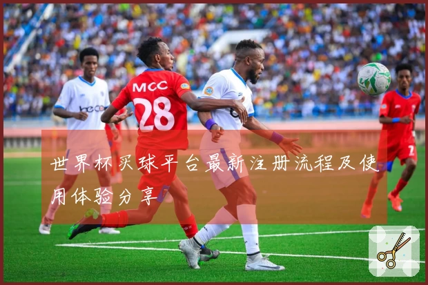世界杯买球平台最新注册流程及使用体验分享