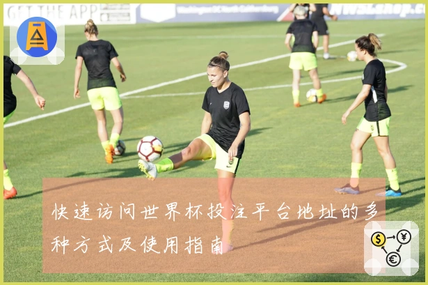 快速访问世界杯投注平台地址的多种方式及使用指南