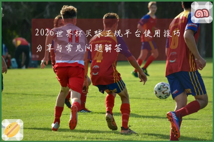 2026世界杯买球正规平台使用技巧分享与常见问题解答