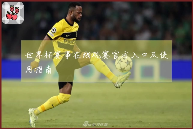 世界杯赛事在线观赛官方入口及使用指南
