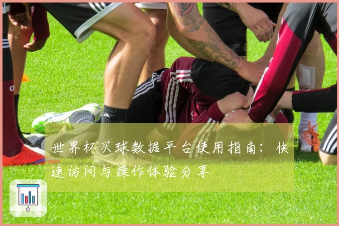 世界杯买球数据平台使用指南：快速访问与操作体验分享